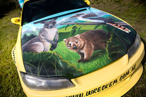 Hand Painted S15!!!!